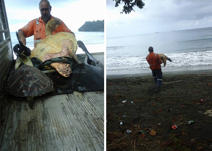1. Мужчина покупает черепах на продовольственном рынке чтобы выпустить их обратно в море.