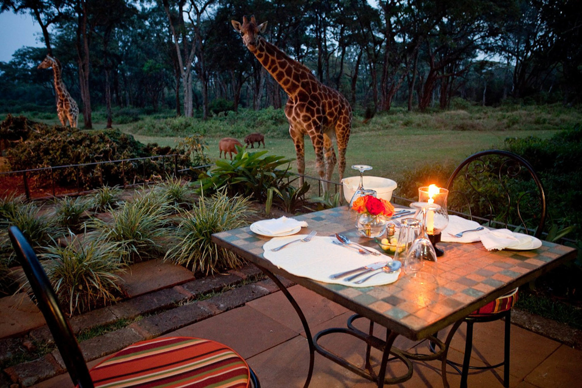 8. Возле отеля растут прекрасные сады где жирафы могут гулять. 
