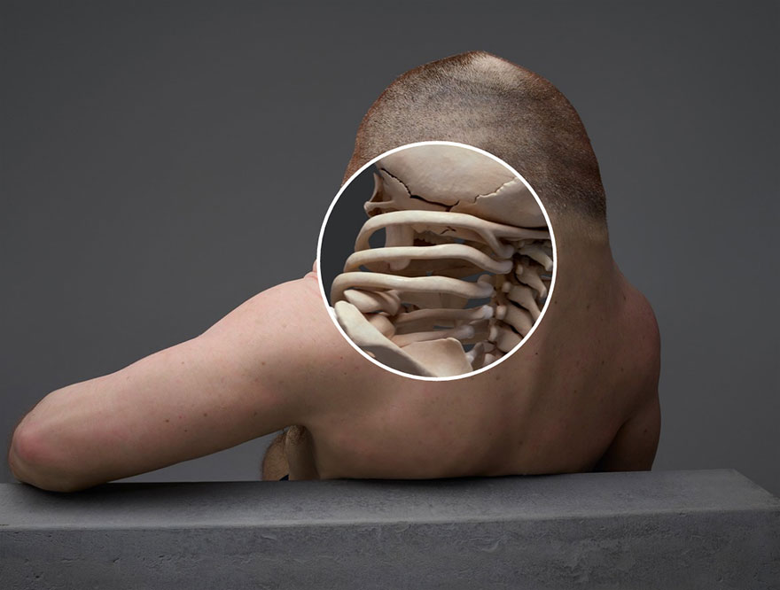 11. Шея Грэма имеет брекет-подобную структуру, которая защищает от травм.