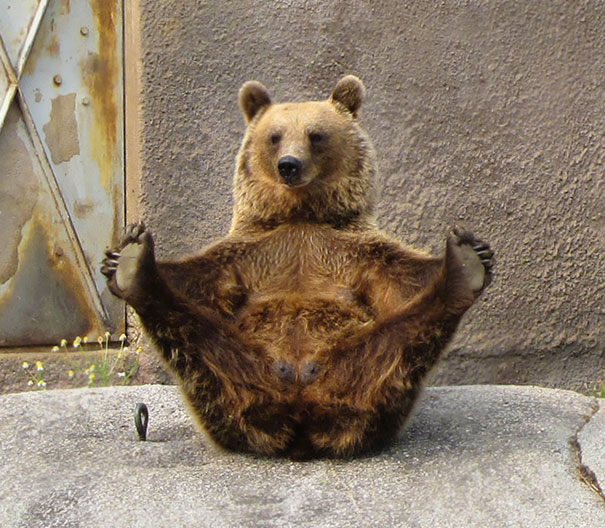 2. Медвежья йога.