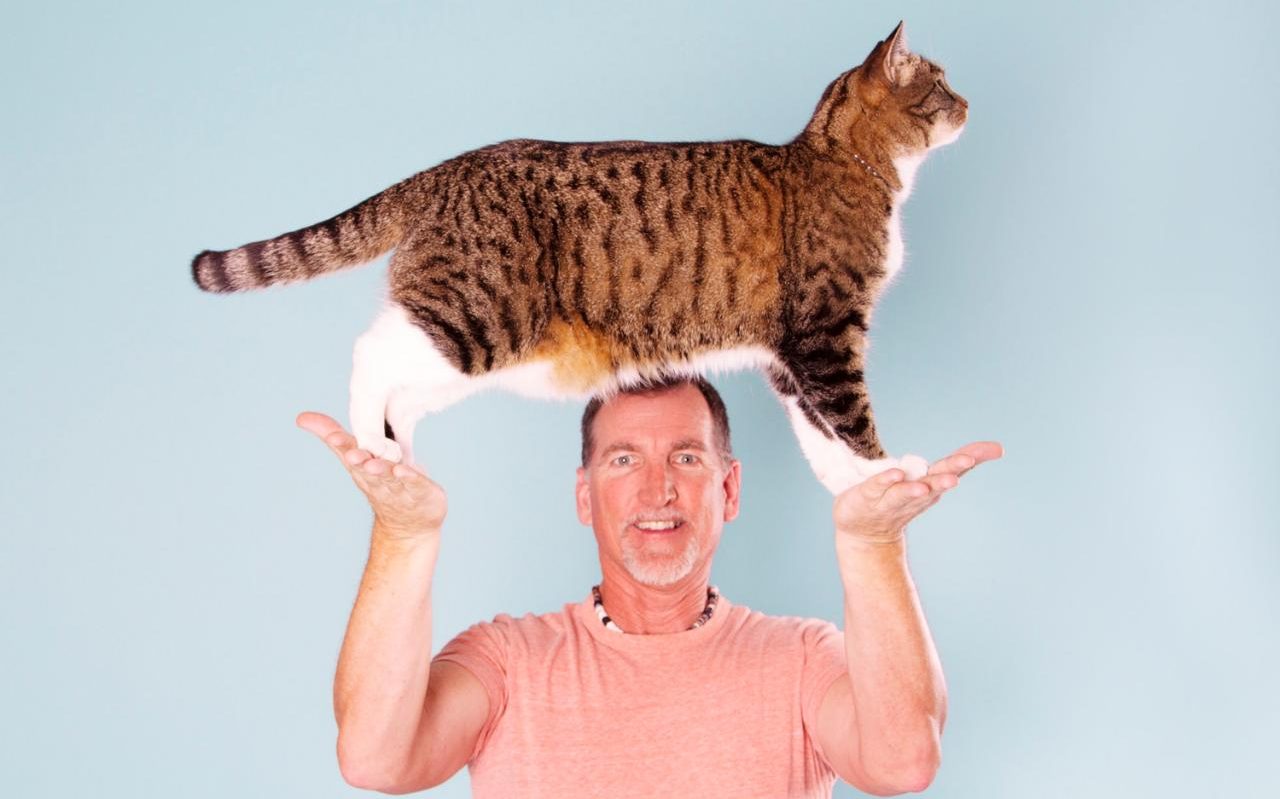 5. Самое большое количество трюков, выполненных котом за минуту (20 трюков). Обладатель рекорда американец Роберт Доллуэт и его кот Дидга. 
