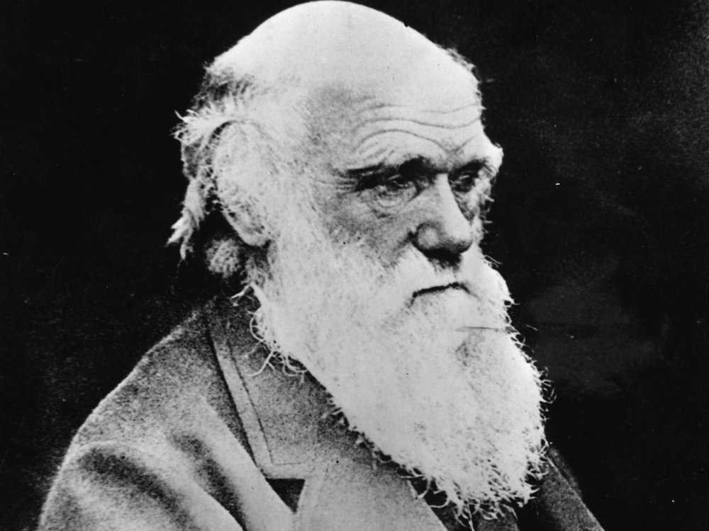 9. Чарльз Дарвин считался средним учеником. Он отказался от карьеры в медицине и собирался стать пастором.