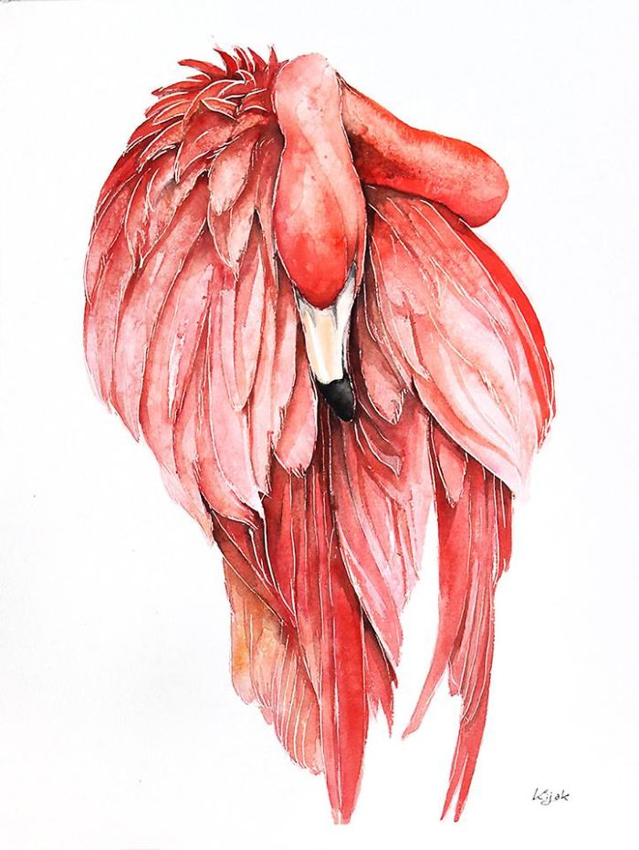 4. Розовый фламинго.
