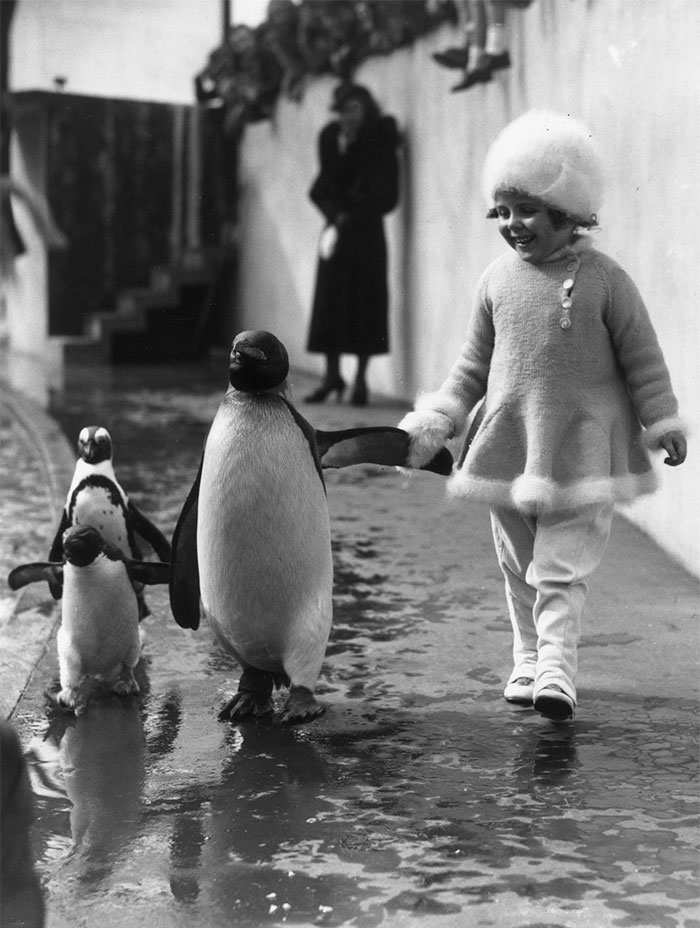 12. Девочка в лондонском зоопарке, 1937.