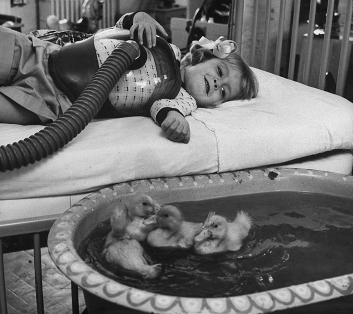 8. Животные как часть медицинской терапии, 1956.