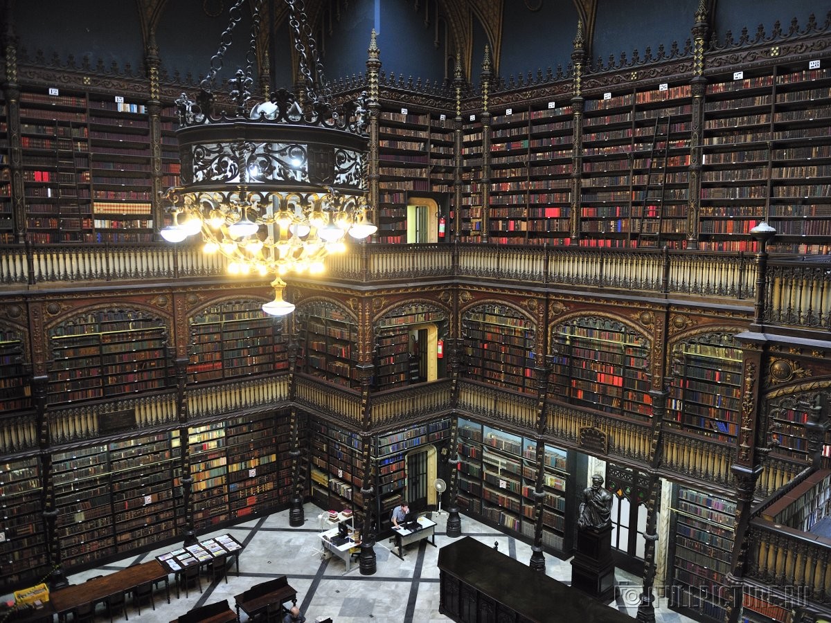 Самая известная библиотека. Португальская Королевская библиотека в Рио-де-Жанейро. Португальская Королевская библиотека. Королевский португальский читальный зал в Рио-де-Жанейро. Королевская библиотека в Рио де Жанейро.