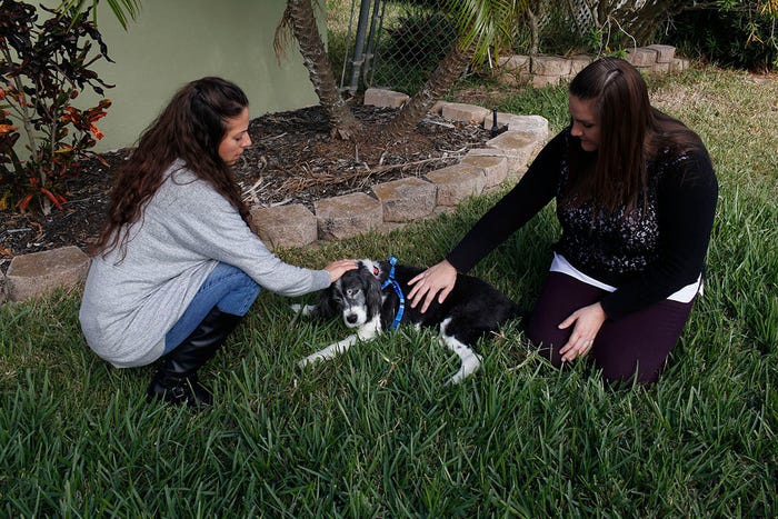 4. Дарси Джонс (слева) говорит с доктором Лорен Гасслер о своей собаке Алли, 15 лет, которая боролась с раком. Доктор Гасслер проводил визит в хоспис для Джонса, чтобы предложить несколько советов о том, как лучше всего провести время, оставшееся вместе.