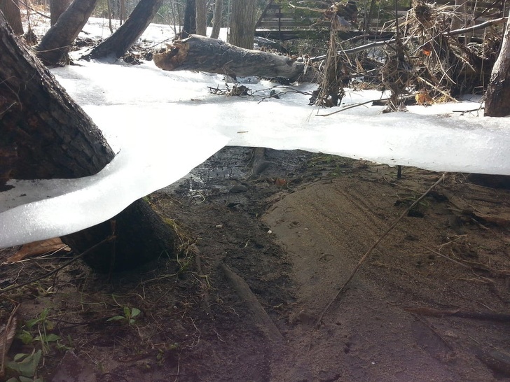 5. Ледяной покров, сковывающий деревья после затопления.