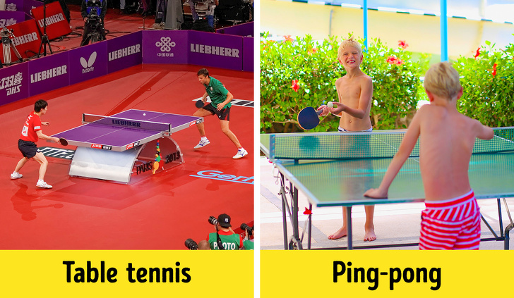4. Настольный теннис и пинг-понг - это одно и то же?