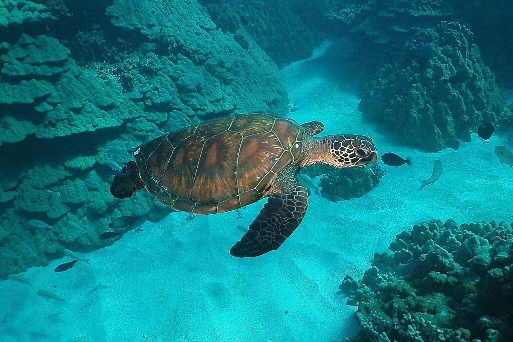 10 шокирующих фактов о состоянии нашей планеты-4