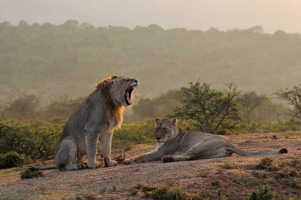 10 шокирующих фактов о состоянии нашей планеты-6