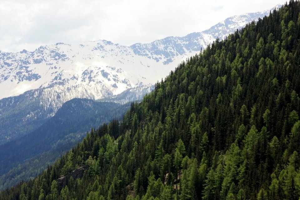 16 любопытных географических фактов-15