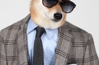 20-neveroyatnyh-fotografij-uhodyashhego-goda-9