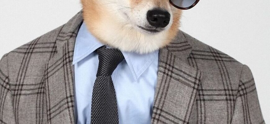 20-neveroyatnyh-fotografij-uhodyashhego-goda-9