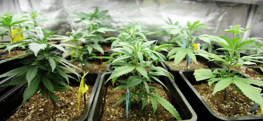 9-samyh-neordinarnyh-spetsialnostej-2