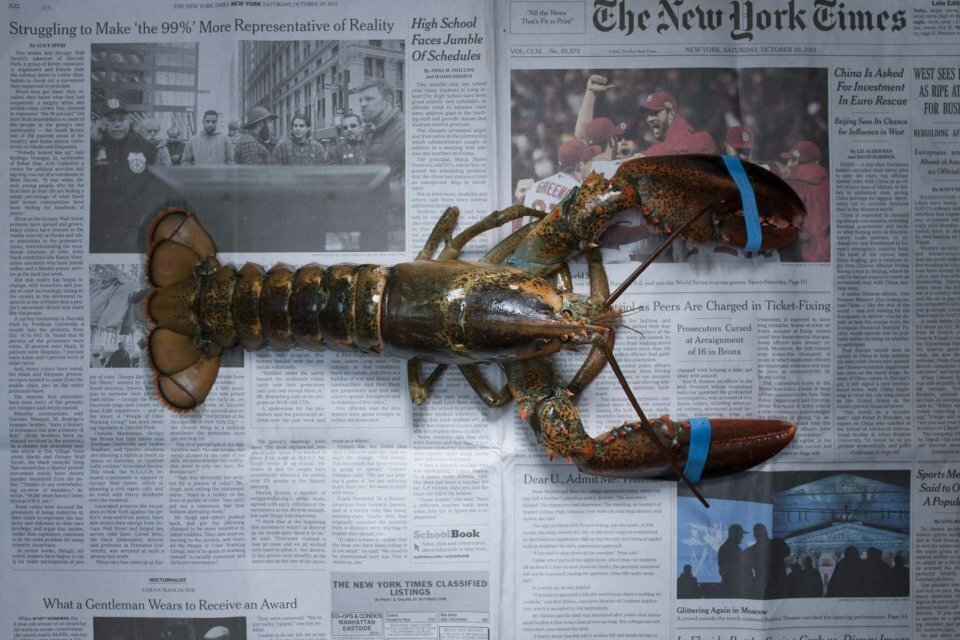 Черта бедности-11