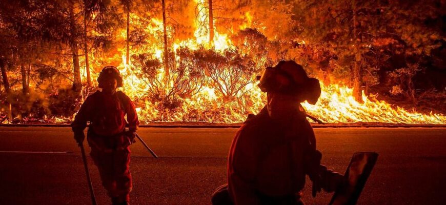 luchshie-fotografii-reporterov-reuters-za-2014-god-1