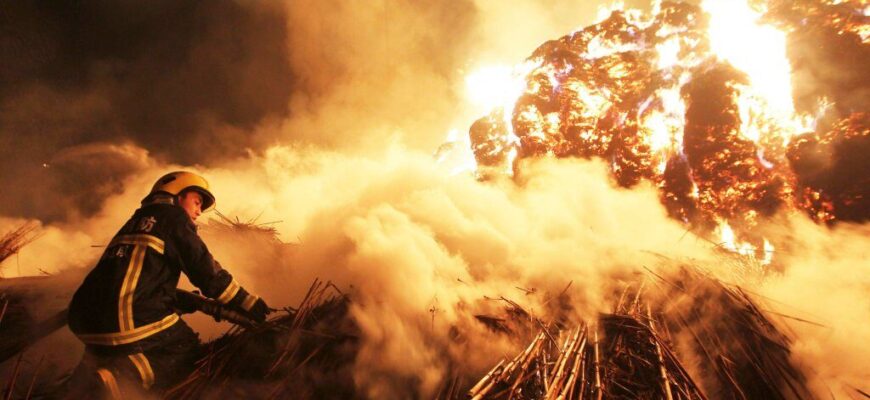 luchshie-fotografii-reporterov-reuters-za-2014-god-61