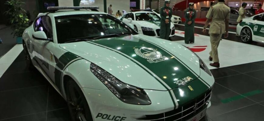 luchshie-politsejskie-mashiny-mira-2