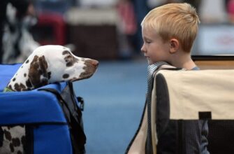 mir-na-samyh-interesnyh-fotografiyah-chast-5-1