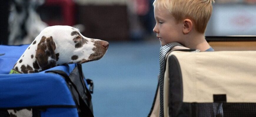 mir-na-samyh-interesnyh-fotografiyah-chast-5-1