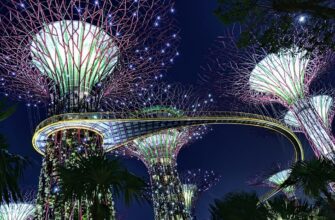 neobyknovennyj-park-super-derevev-3