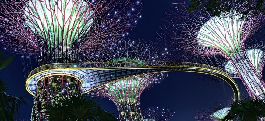 neobyknovennyj-park-super-derevev-3