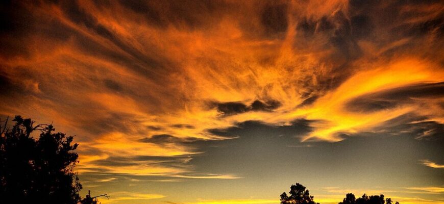 odin-den-iz-zhizni-planety-zemlya-32