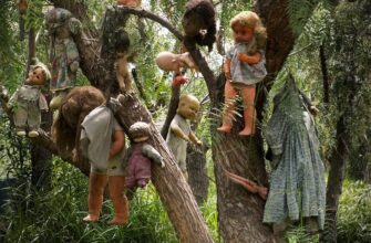 ostrov-kukol-rodom-iz-filma-uzhasov-12