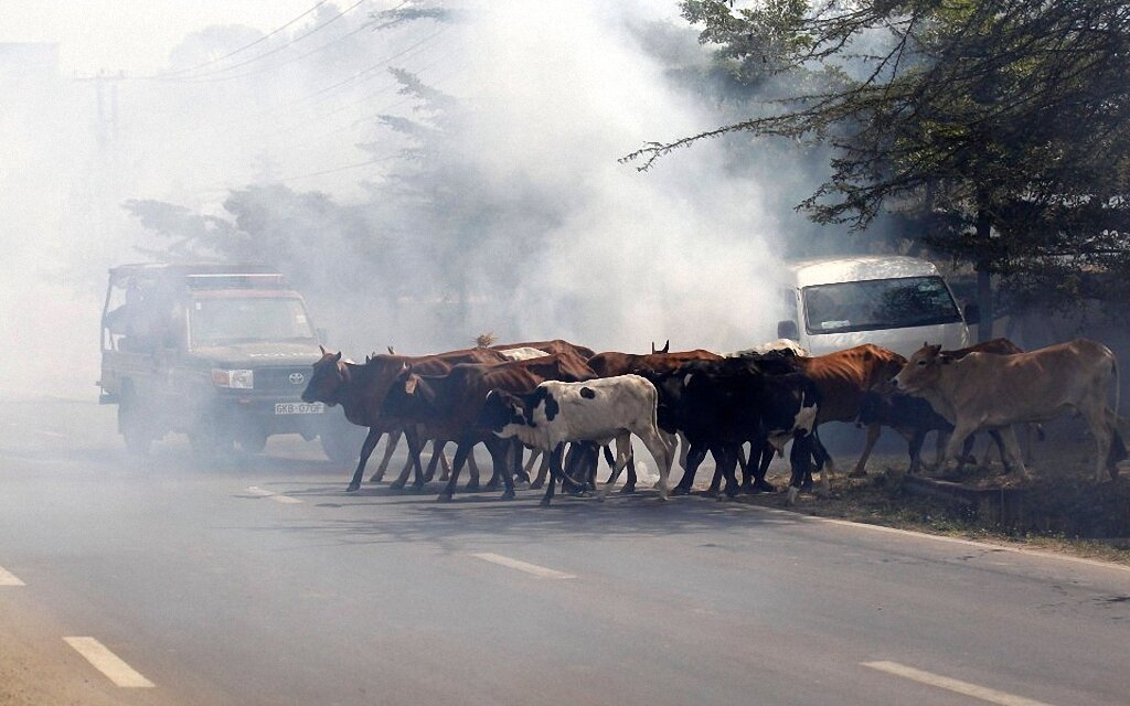 Отважные кенийские школьники-13