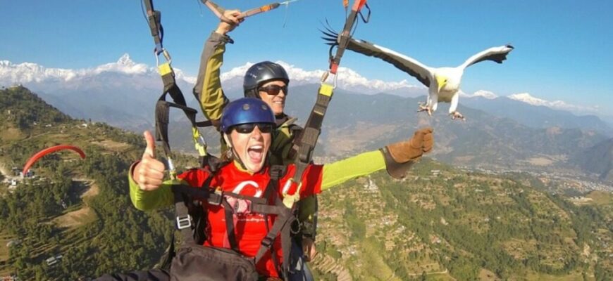 parahawking-ili-polyoty-s-hishhnikami-4