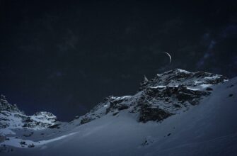 pobediteli-ippawards-2014-9