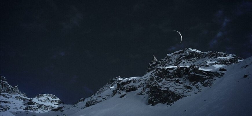 pobediteli-ippawards-2014-9