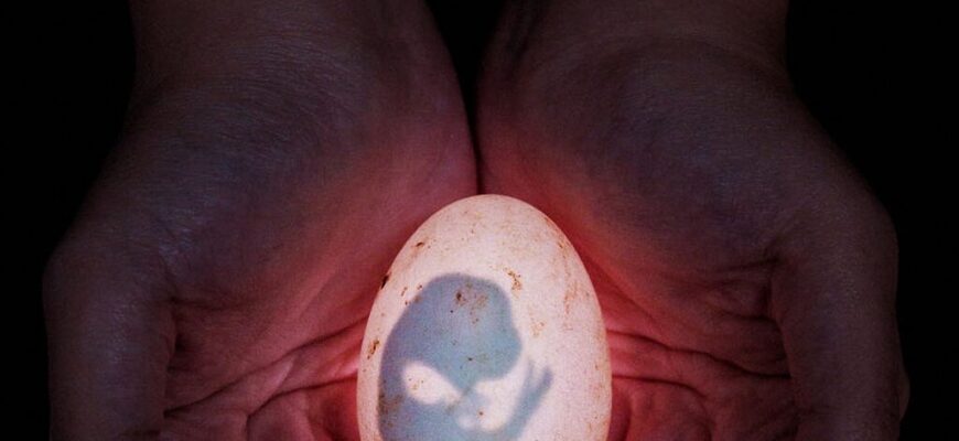 pobediteli-konkursa-society-of-biology-2014-3