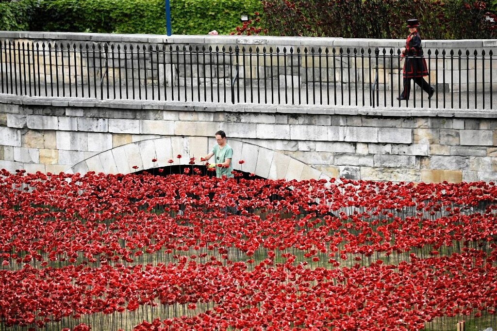 Поле красных маков у Лондонского Тауэра-2