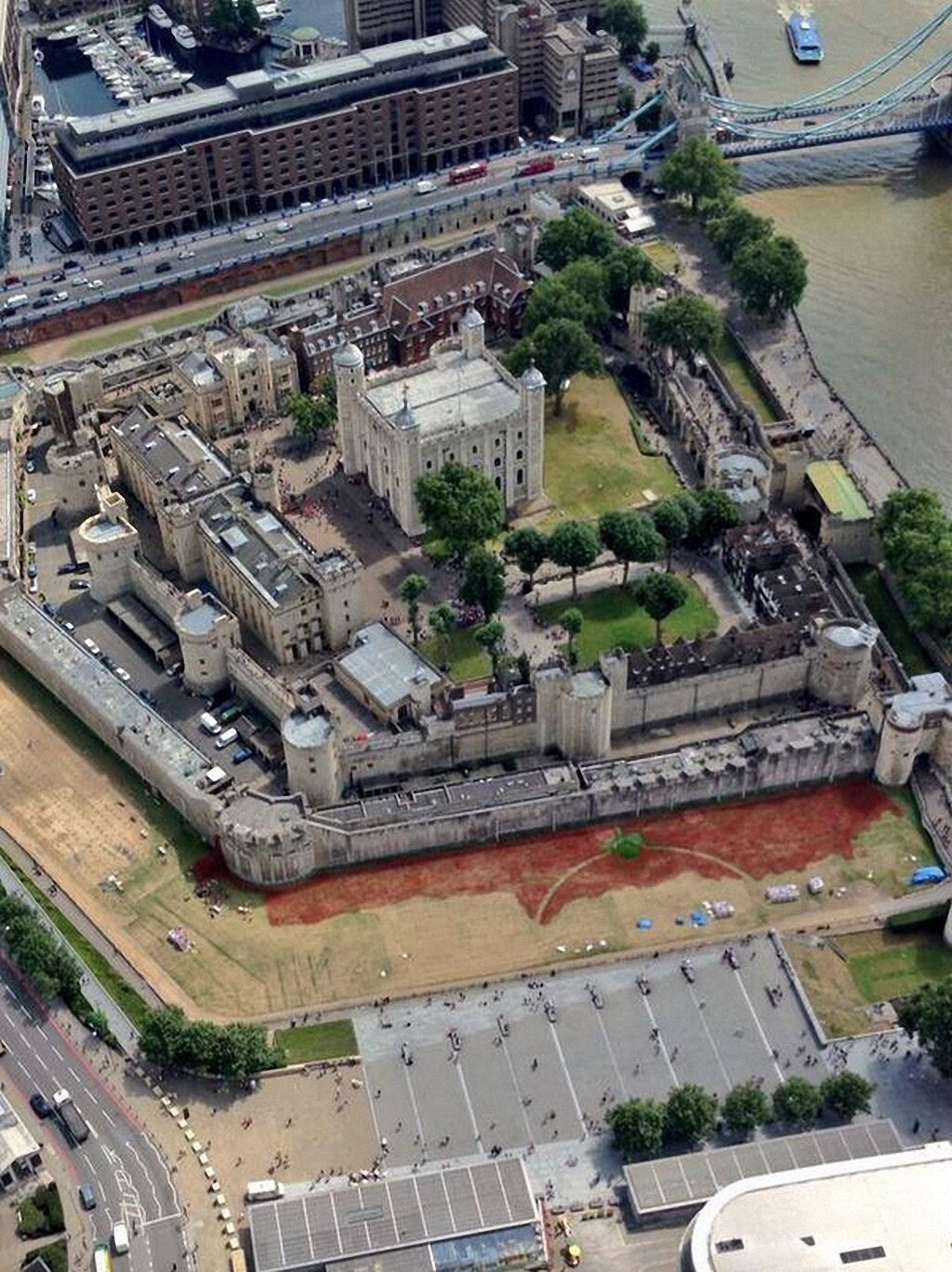 Поле красных маков у Лондонского Тауэра-5