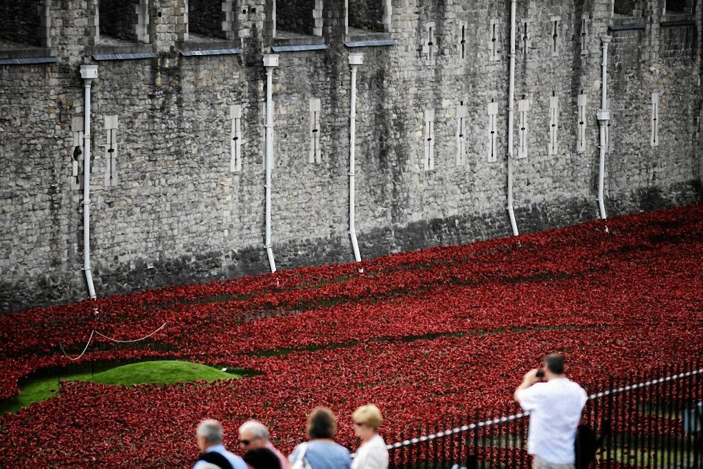 Поле красных маков у Лондонского Тауэра-6