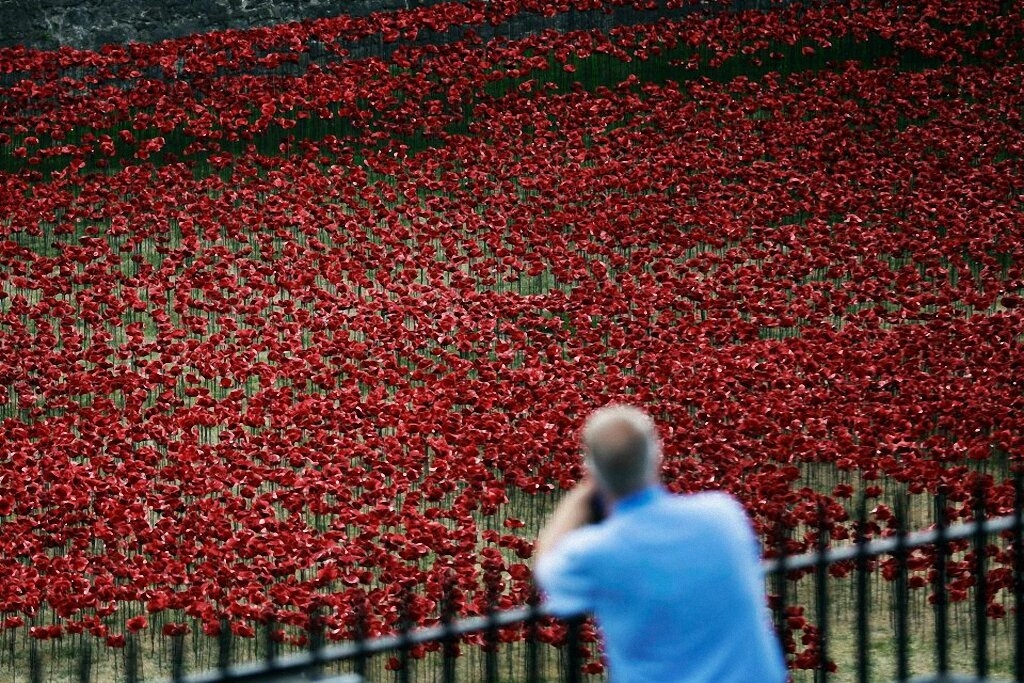 Поле красных маков у Лондонского Тауэра-7