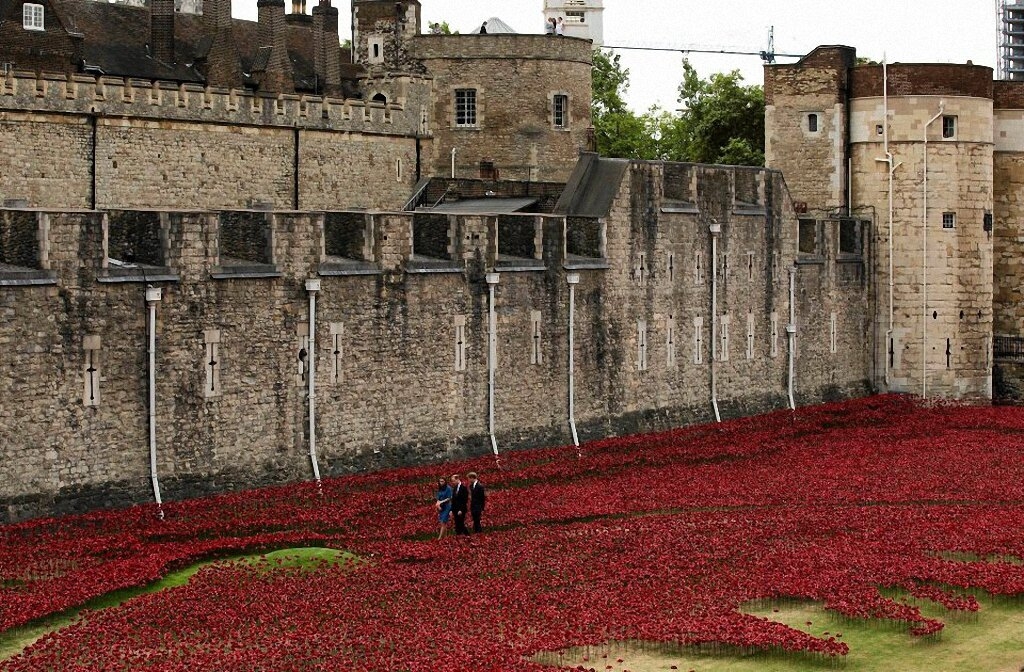 Поле красных маков у Лондонского Тауэра-8