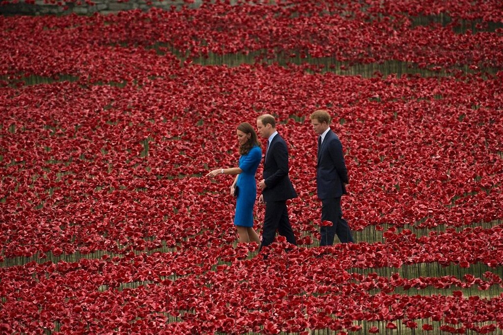 Поле красных маков у Лондонского Тауэра-9