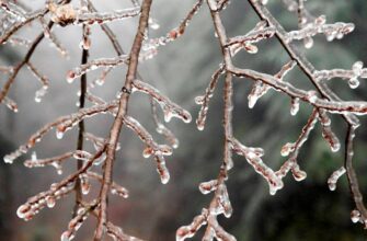 skovannaya-zimoj-evropa-1