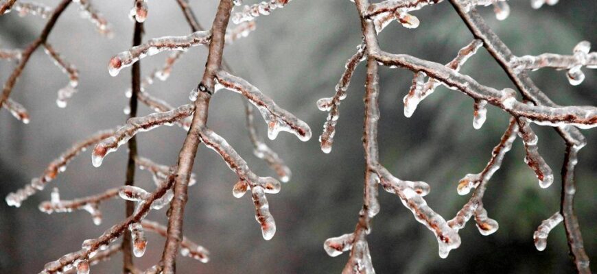 skovannaya-zimoj-evropa-1