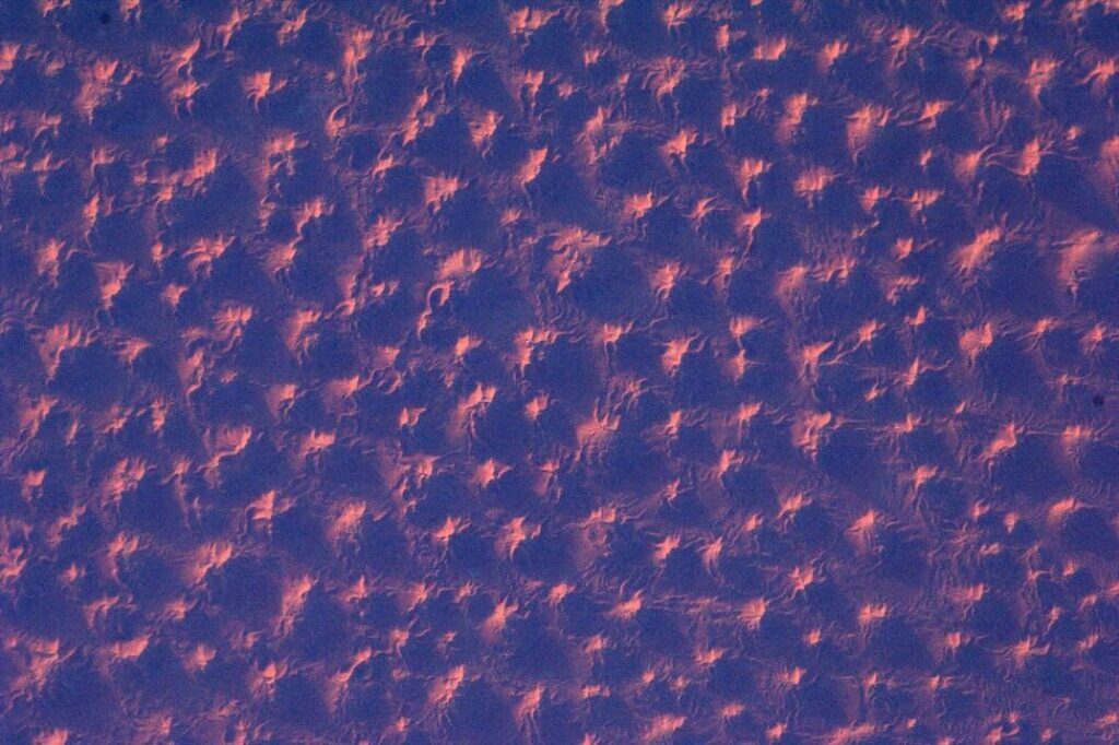 takimi-vidyat-nas-inoplanetyane-24