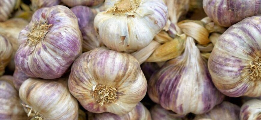 top-15-produktov-anti-aging-2