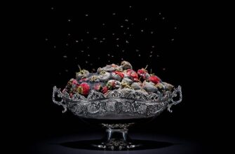 toshnotvorno-krasivye-gnilye-produkty-1