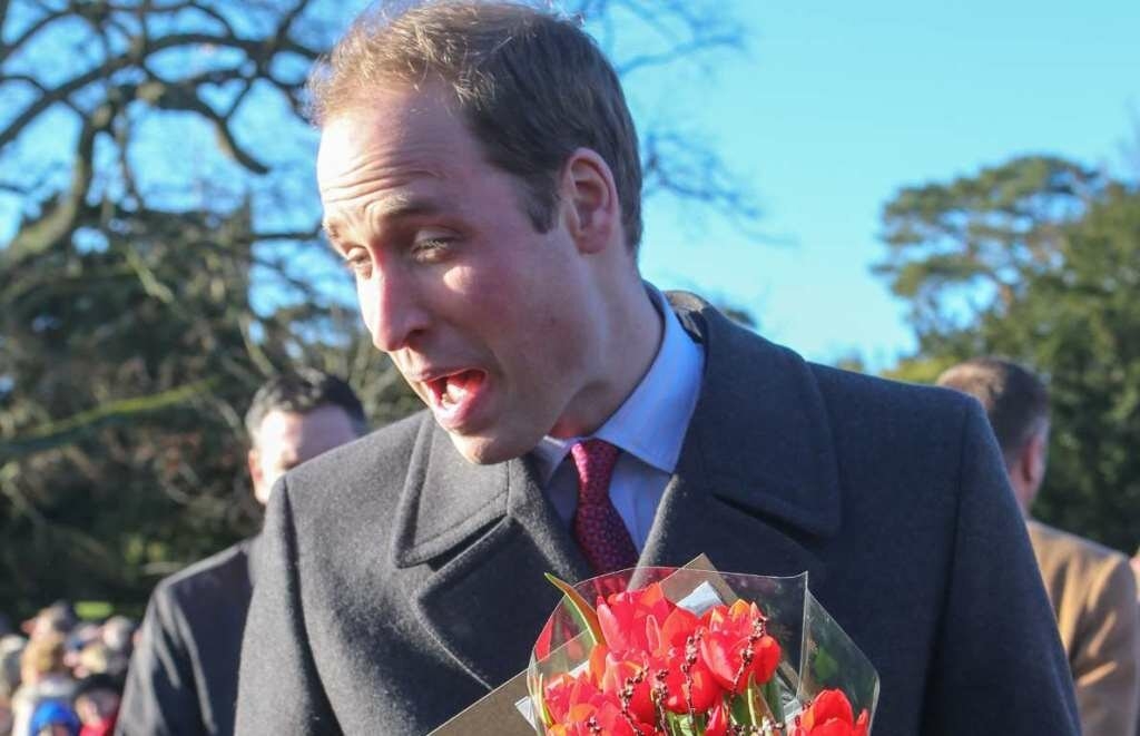 Забавные фотографии королевской семьи-17