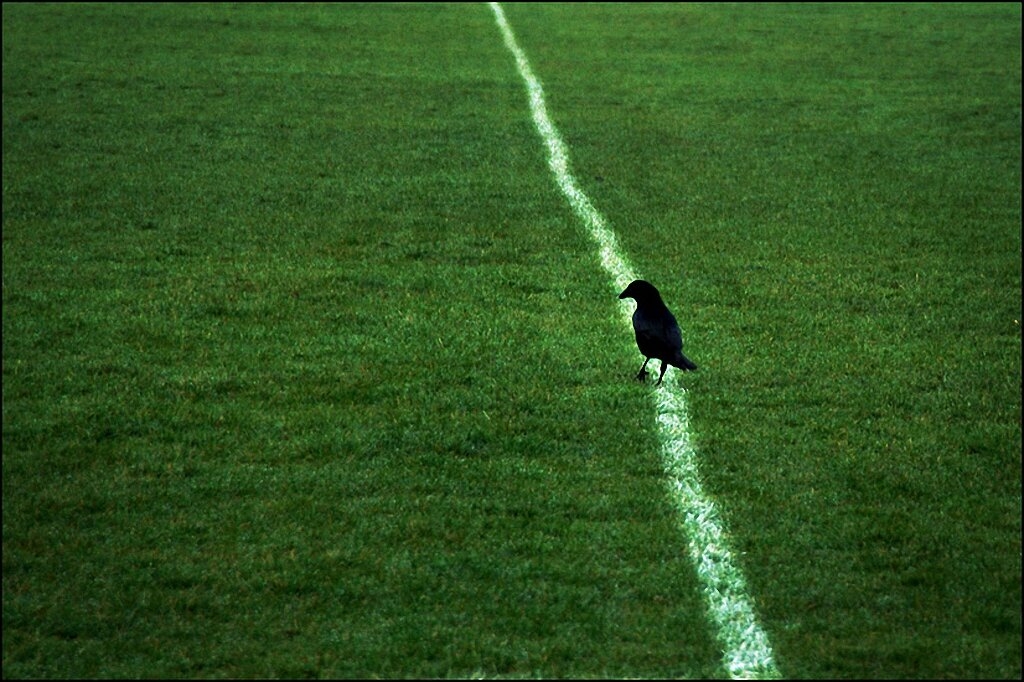Забавные уличные фотографии Нильса Йоргенсена-20