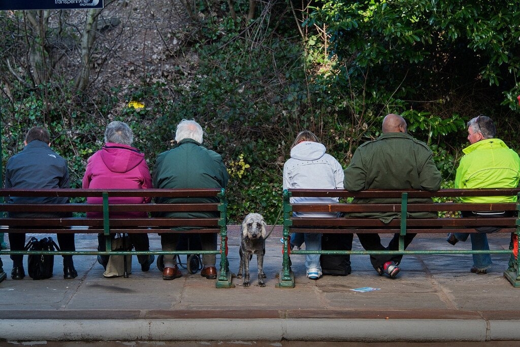 Забавные уличные фотографии Нильса Йоргенсена-21