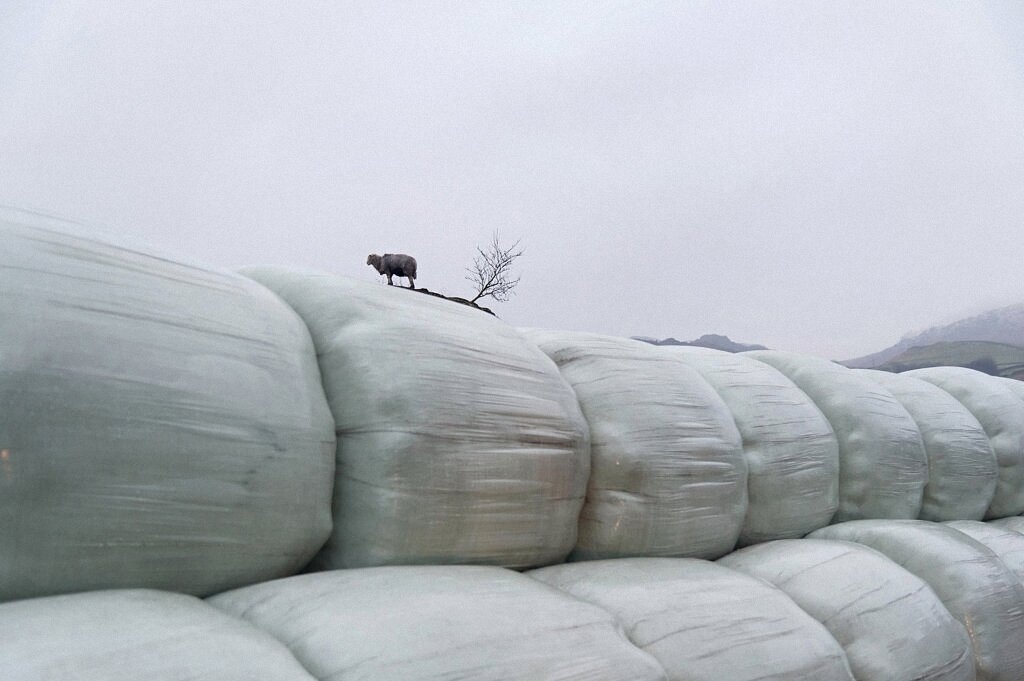 Забавные уличные фотографии Нильса Йоргенсена-4