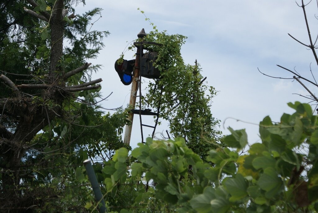 Заброшенный Диснейленд в Японии-15